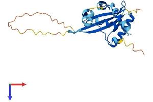 ATG10 Protein (AA 1-220) (His tag)