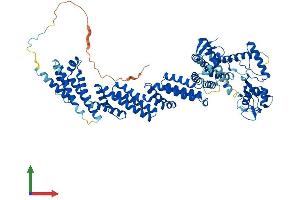 Protein Structure (PS) image for Cullin 4A (CUL4A) (AA 1-759) protein (His tag) (ABIN7553563)