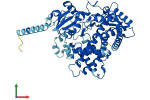 AlphaFold protein structure predicition of Mouse Recombinant Cyp2d26 Protein, UniprotID Q8CIM7