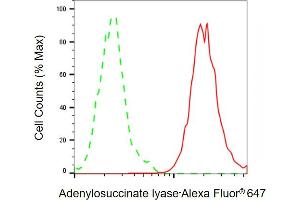 Flow cytometric analysis of Adenylosuccinate lyase expression in HeLa cells using Adenylosuccinate lyase antibody ( (ABIN7797524), 1:2,000). (Adenylosuccinate Lyase Antikörper)