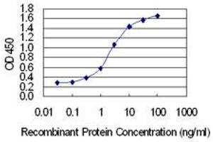 ELISA image for anti-Collagen, Type V, alpha 2 (COL5A2) (AA 41-124) antibody (ABIN947720)