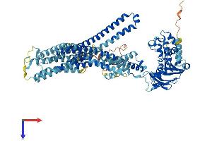 ABCB6 Protein (AA 1-842) (His tag)