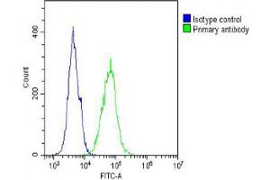 Overlay histogram showing A431 cells stained with (ABIN654644 and ABIN2844340) (green line). (IL12_2 (AA 756-783), (C-Term) Antikörper)
