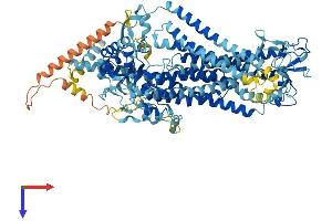 Anoctamin 5 Protein (ANO5) (AA 1-913) (His tag)