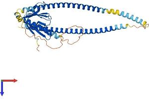 HOMER3 Protein (AA 1-356) (His tag)