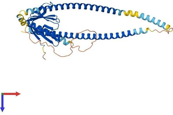 HOMER3 Protein (AA 1-356) (His tag)