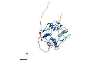 AlphaFold protein structure predicition of Human Recombinant ZNF625 Protein, UniprotID Q96I27