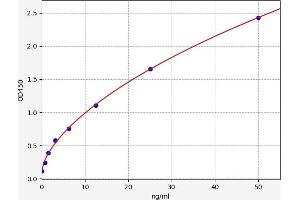 Typical standard curve (AOX1 ELISA Kit)