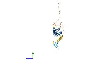 AlphaFold protein structure predicition of Human Recombinant MS4A10 Protein, UniprotID Q96PG2