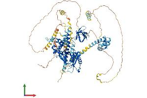 AlphaFold protein structure predicition of Mouse Recombinant Eps8 Protein, UniprotID Q08509