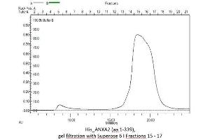 Size-exclusion chromatography-High Pressure Liquid Chromatography (SEC-HPLC) image for Annexin A2 (ANXA2) (AA 2-339) protein (His tag) (ABIN3088981)