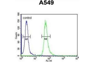 Flow Cytometry (FACS) image for anti-Guanine Nucleotide Binding Protein, alpha Transducing 3 (GNAT3) (AA 85-113), (Middle Region) antibody (ABIN952565)