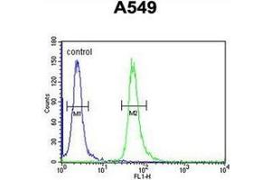 Flow cytometric analysis of A549 cells using GNAT3 Antibody (Center) Cat. (GNAT3 Antikörper  (Middle Region))