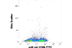 Flow cytometry surface staining pattern of rat splenocyte suspension stained using anti-rat CD8b (341) FITC antibody (concentration in sample 1 μg/mL). (CD8B Antikörper  (FITC))