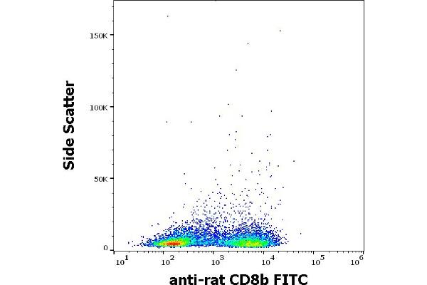 CD8B Antikörper  (FITC)