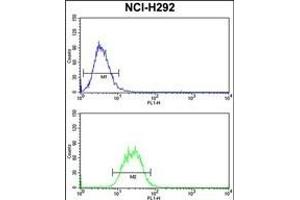 SNRPD2 Antibody (N-term) (ABIN390823 and ABIN2841054) flow cytometry analysis of NCI- cells (bottom histogram) compared to a negative control cell (top histogram). (SNRPD2 Antikörper  (N-Term))
