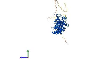 Protein Structure (PS) image for Nuclear Factor of kappa Light Polypeptide Gene Enhancer in B-Cells Inhibitor, alpha (NFKBIA) (AA 1-317) protein (His tag) (ABIN7548496)
