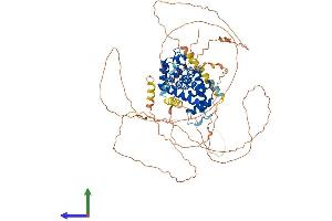 AlphaFold protein structure predicition of Mouse Recombinant Ccnt2 Protein, UniprotID Q7TQK0