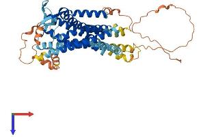 Relaxin 3 Receptor 1 Protein (RXFP3) (AA 1-472) (His tag)