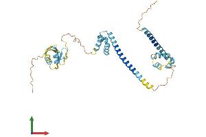 Protein Structure (PS) image for DNA Fragmentation Factor, 45kDa, alpha Polypeptide (DFFA) (AA 1-331) protein (His tag) (ABIN7562411)