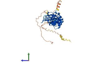 Protein Structure (PS) image for NF-kappa-B inhibitor beta (NFKBIB) (AA 1-356) protein (His tag) (ABIN7548462)