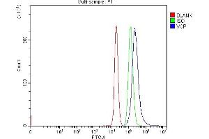 Flow Cytometry analysis of EL-4 cells using anti-VCP antibody (ABIN7599605). (VCP Antikörper  (AA 10-512))