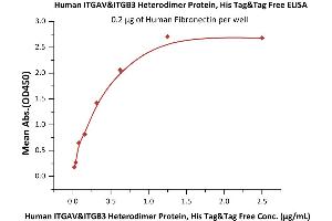 ELISA image for Integrin alpha V, Integrin beta 3 (ITGAV/ITGB3) (AA 31-992) (Active) protein (His tag) (ABIN2870663)