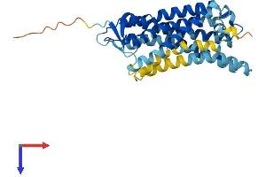 OR56B4 Protein (AA 1-319) (His tag)
