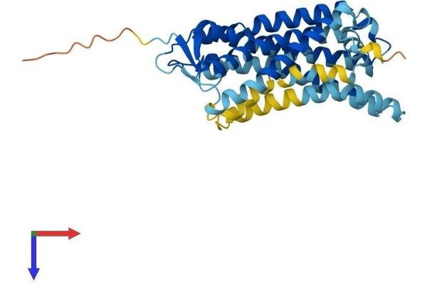 OR56B4 Protein (AA 1-319) (His tag)