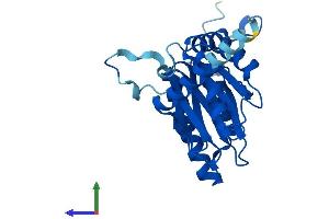 PSMA7 Protein (AA 1-248) (His tag)