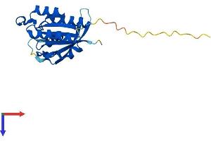 NKIRAS1 Protein (AA 1-192) (His tag)