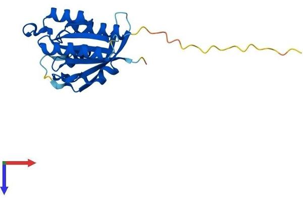 NKIRAS1 Protein (AA 1-192) (His tag)