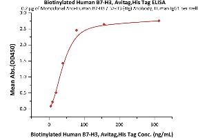 Immobilized Monoclonal A B7-H3 / B7-H3 (4Ig) Antibody, Human IgG1 at 2 μg/mL (100 μL/well) can bind Biotinylated Human B7-H3, Avitag,His Tag (ABIN5674582,ABIN6253693) with a linear range of 5-39 ng/mL (QC tested).