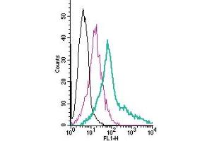 Cell surface detection of PTGIR by direct flow cytometry in live intact human  megakaryoblastic leukemia cells: + Rabbit IgG Isotype Control-FITC (ABIN7582044).