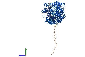 AlphaFold protein structure predicition of Mouse Recombinant Slc6a14 Protein, UniprotID Q9JMA9 (Slc6a14 Protein (AA 1-638) (His tag))