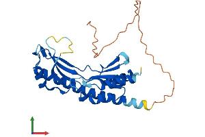 Protein Structure (PS) image for tRNA-YW Synthesizing Protein 3 Homolog (TYW3) (AA 1-259) protein (His tag) (ABIN7544974)