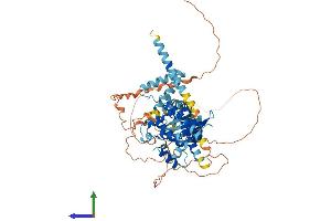 Protein Structure (PS) image for Eukaryotic Translation Initiation Factor 2-alpha Kinase 1 (EIF2AK1) (AA 1-619) protein (His tag) (ABIN7565300)