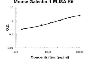 Mouse Galectin-1 PicoKine ELISA Kit standard curve