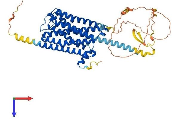 CHRM4 Protein (AA 1-479) (His tag)