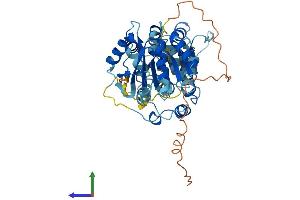 Protein Structure (PS) image for DEAD (Asp-Glu-Ala-Asp) Box Polypeptide 25 (DDX25) (AA 1-484) protein (His tag) (ABIN7561773)