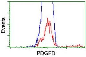 HEK293T cells transfected with either RC219641 overexpress plasmid (Red) or empty vector control plasmid (Blue) were immunostained by anti-PDGFD antibody (ABIN2455136), and then analyzed by flow cytometry. (PDGFD Antikörper  (AA 19-247))