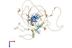 PPP1R3F Protein (AA 1-799) (His tag)