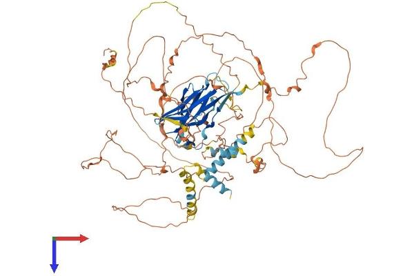PPP1R3F Protein (AA 1-799) (His tag)