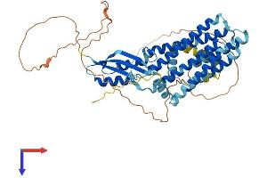 SLC30A6 Protein (AA 1-461) (His tag)
