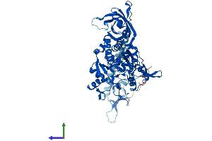 AlphaFold protein structure predicition of Mouse Recombinant Nars1 Protein, UniprotID Q8BP47
