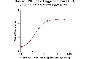 ELISA plate pre-coated by 2 μg/mL (100 μL/well) Human TIGIT, mFc tagged protein (ABIN6961182) can bind Anti-TIGIT Neutralizing antibody in a linear range of 0. (TIGIT Protein (mFc Tag))