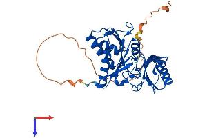 Ribose 5-Phosphate Isomerase A (RPIA) (AA 1-303) protein (His tag)