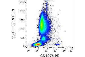 Flow cytometry analysis (surface staining) of IgE-stimulated human peripheral blood with anti-CD107b (H4B4) PE.