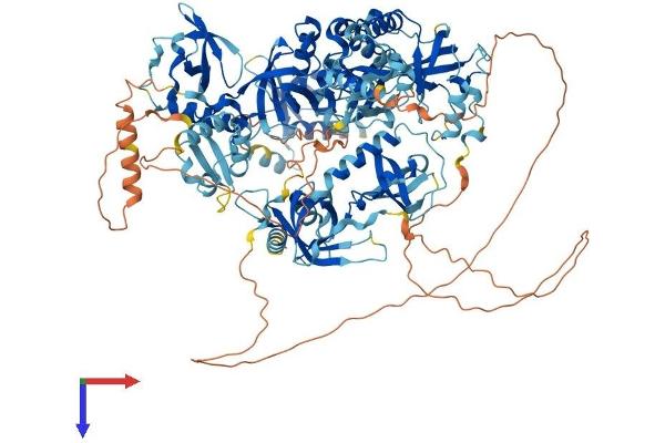 TDRD7 Protein (AA 1-1086) (His tag)