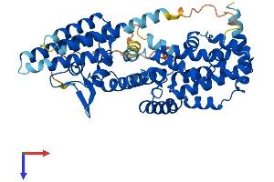 RASGEF1A Protein (AA 1-481) (His tag)